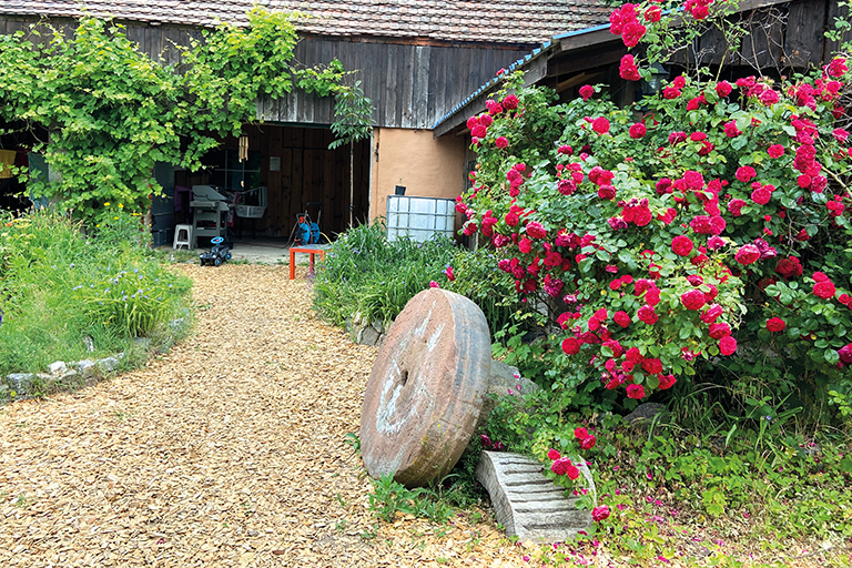 Walnussmeisterei Vivian Böllersen in Lindow (Mark)