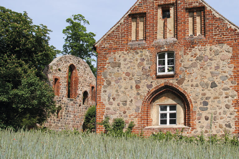 Weizenfeld im Lindower Kloster