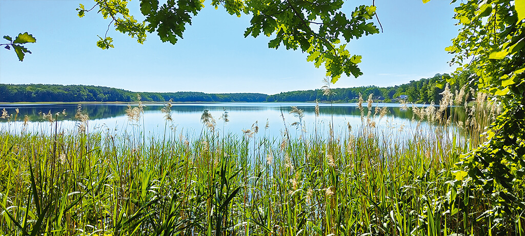 Ufer am Wutzsee in Lindow (Mark)