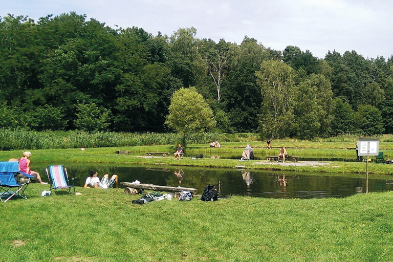 Fischteich und Fischzucht in Zippelsförde